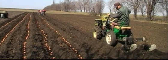 Технология посадки картошки