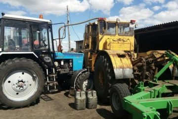 Трактор Кировец сеет нут