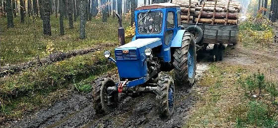 ЛТЗ Т-40АМ: Работа в лесу