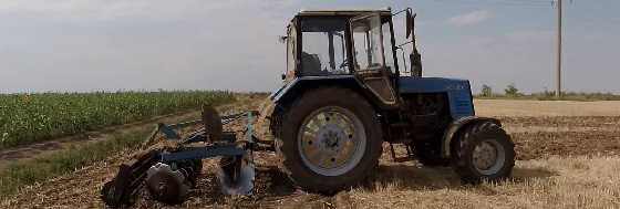 Дискование стерни озимой пшеницы