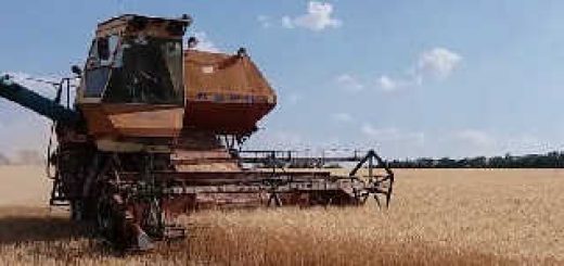 Комбайн Нива СК 5: уборка канадской озимой пшеницы