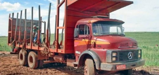 грузовики для сахарного тростника