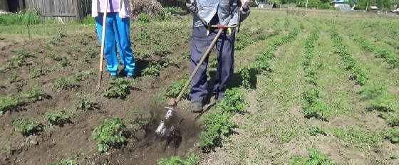 Насадка - культиватор на китайский триммер