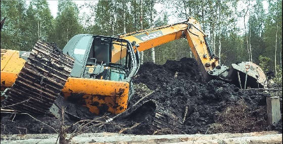 Экскаватор JCB в торфяной ловушке
