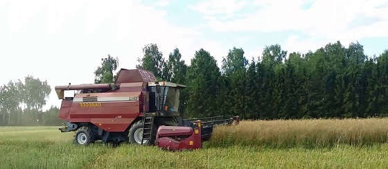уборка рапса на КЗС-1218