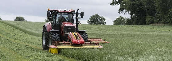 СЕНОКОС 2020 от А до Я