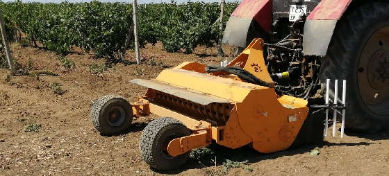 Трактор Беларус 892 с мульчером Serrat Olivina