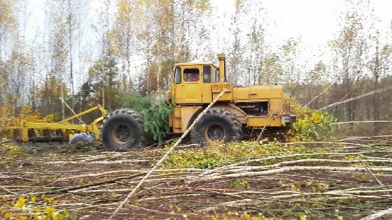 Восстановление залежных земель