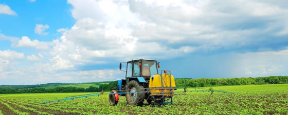Химическая прополка подсолнуха