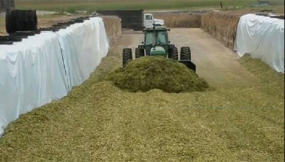 Силос на GOMIERO FARM 