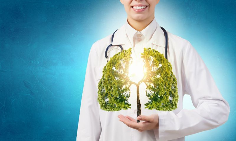 Экологическая медицина